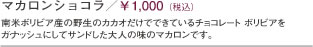 マカロンショコラ\1,000(税込)南米ボリビア産の野生のカカオだけでできているチョコレートボリビアをガナッシュにしてサンドした大人の味のマカロンです。