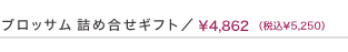 ブロッサム詰め合わせギフト\5,000(税込)