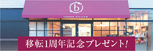 移転1周年記念プレゼント